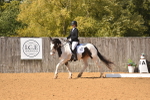 SBM_05583