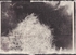‘Nighean nan gamhna’