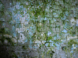 Abandoned Greystone Park Psychiatric Center | A Map of Nowhere