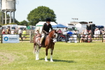 SBM_15535