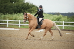 SBM_000154