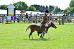SBM_03651