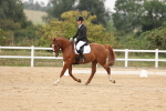 SBM_01549