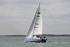 170507 BLUE DOLPHIN - SOUTHERLY 420 1Y3A8904_Edit