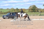 BPP_9193