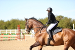 SBM_003401