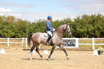 SBM_004579