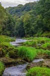 Flowing Through