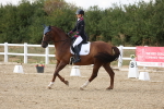 SBM_015668
