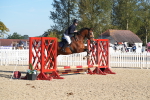 SBM_34439