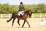 SBM_007543