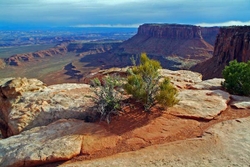 Canyonlands National Park portfolio