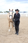 Class 26 - IH Foreign Breeds - Part Bred portfolio