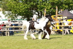 SBM_08559