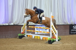 SBM_010011
