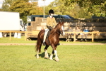 SBM_29391