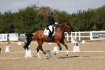 SBM_022446