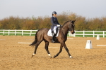 SBM_003355