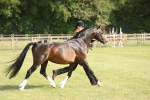 SBM_10349