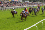 250823-Race 1-Marhaba The Champ-5754