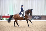 SBM_010178_Class 12 - FEI PSG - 1233-1337