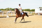 SBM_002690