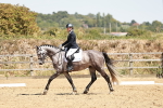 SBM_003465