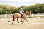 SBM_009086