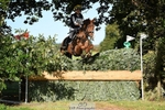 Rider 220 to 229 portfolio