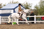 SBM_04733
