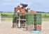 BPP_5285
