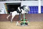 SBM_009886
