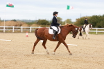 SBM_001355