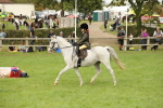 SBM_71608