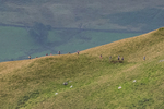 Sedbergh-2