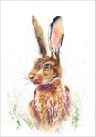 Hare Limited Edition Print 160