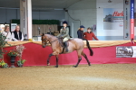 SBM_09528