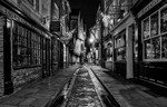 Festive Shambles