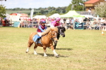 SBM_16543