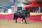 SBM_00524