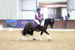 SBM_003246