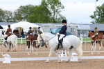 SBM_00290