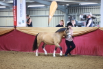SBM_14674