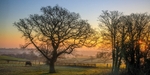 January Sunrise