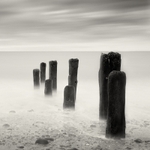 Black Groynes (square format)