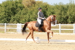 SBM_002559