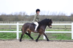 SBM_007406