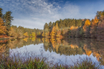 Autumn Reflected - 7