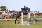 Class C: Showjumping Senior Foxhunter portfolio
