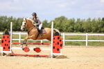 SBM_007639